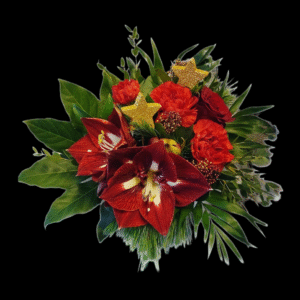 Bouquet- Christmas red bush
