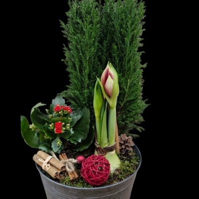 {"remix_data":[],"remix_entry_point":"challenges","source_tags":["local"],"origin":"unknown","total_draw_time":0,"total_draw_actions":0,"layers_used":0,"brushes_used":0,"photos_added":0,"total_editor_actions":{},"tools_used":{},"is_sticker":false,"edited_since_last_sticker_save":false,"containsFTESticker":false}