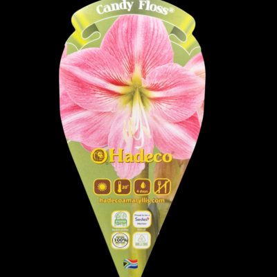 {"remix_data":[],"remix_entry_point":"challenges","source_tags":["local"],"origin":"unknown","total_draw_time":0,"total_draw_actions":0,"layers_used":0,"brushes_used":0,"photos_added":0,"total_editor_actions":{},"tools_used":{"remove_bg":1},"is_sticker":false,"edited_since_last_sticker_save":true,"containsFTESticker":false}