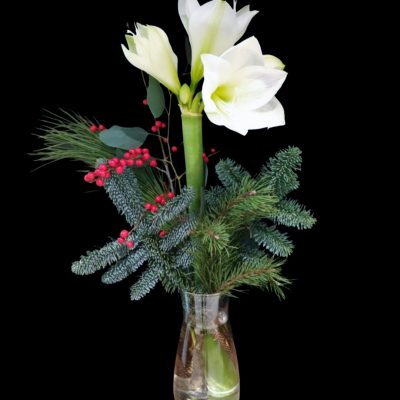 data":[], "remix_entry_point": "challenges", "source_tags":["local"], "origin": "unknown", "total_draw_time":0, "total_draw_actions":0, "layers_used":0, "brushes_used":{}, "tools_used":{"remove_bg":2}, "is_sticker":false, "edited_since_last_sticker_save":true, "containsFTESticker":false}, "total_editor_actions":{}, "tools_used":{"remove_bg":2}, "is_sticker":false, "edited_since_last_sticker_save":true, "containsFTESticker":false}