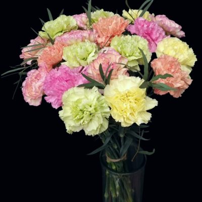 Carnation bouquet, colourful